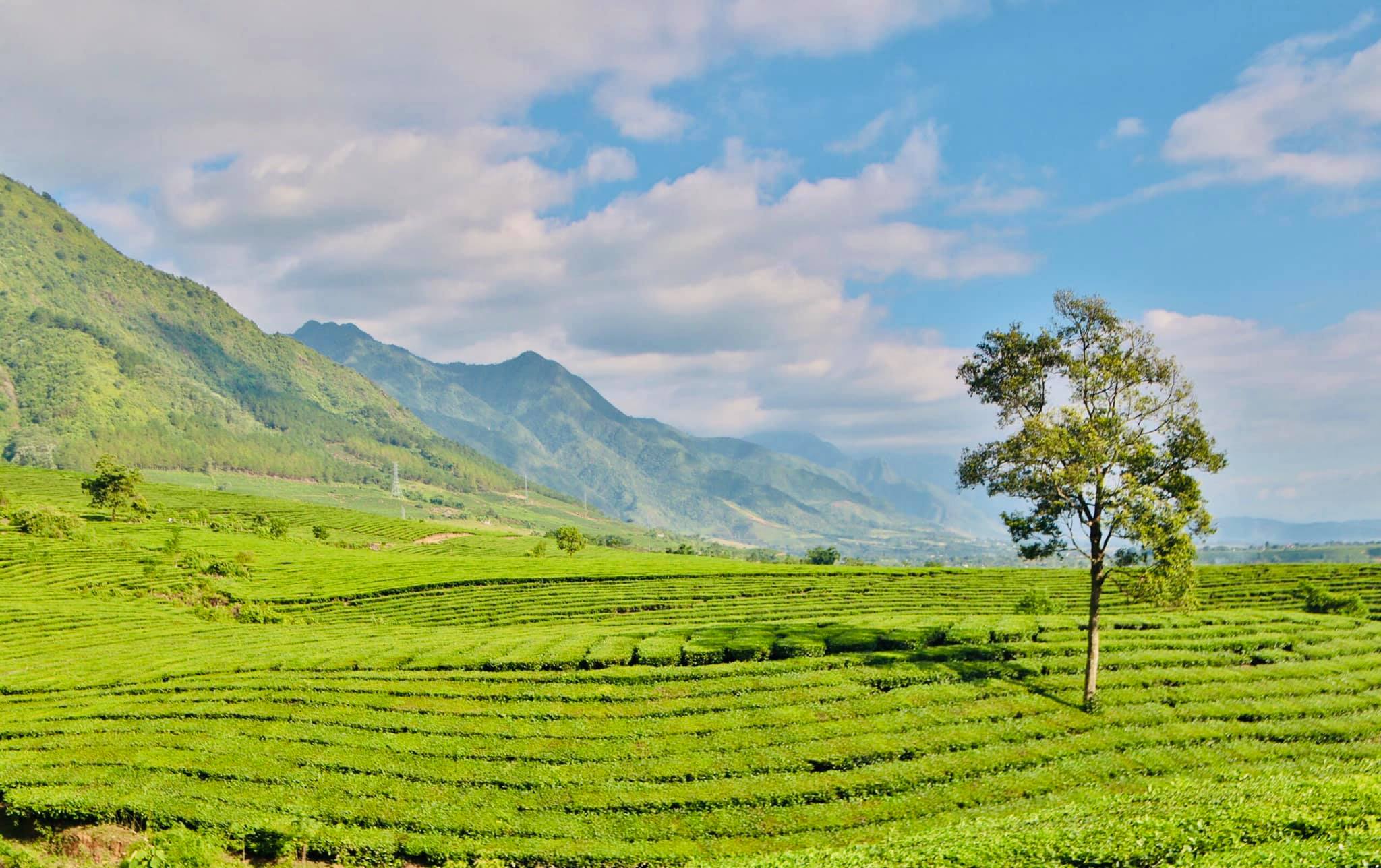 Đèo Ô Quy Hồ